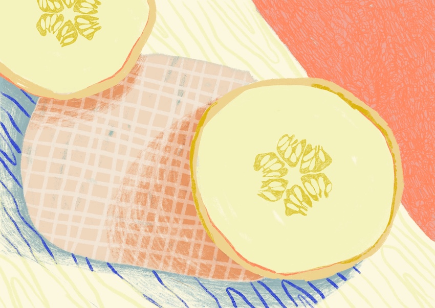 © Pia Salzer Single Illustration – Melons 2018