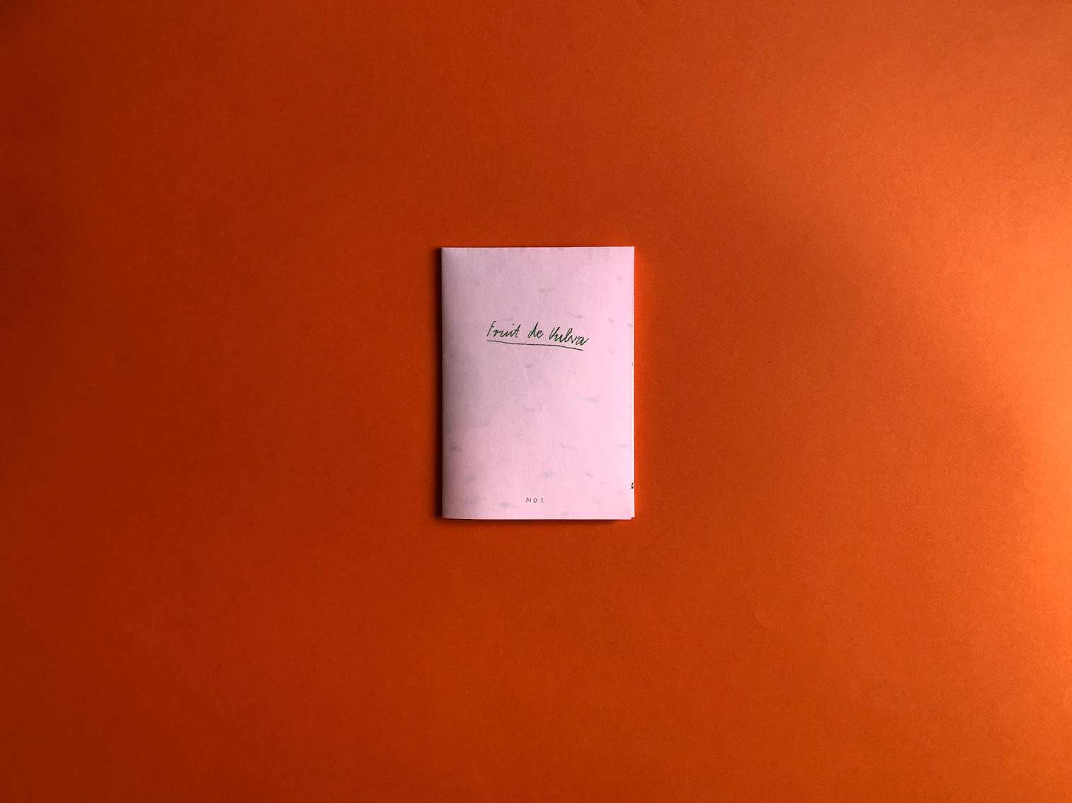 © Pia Salzer Fruit de Vulva Cover