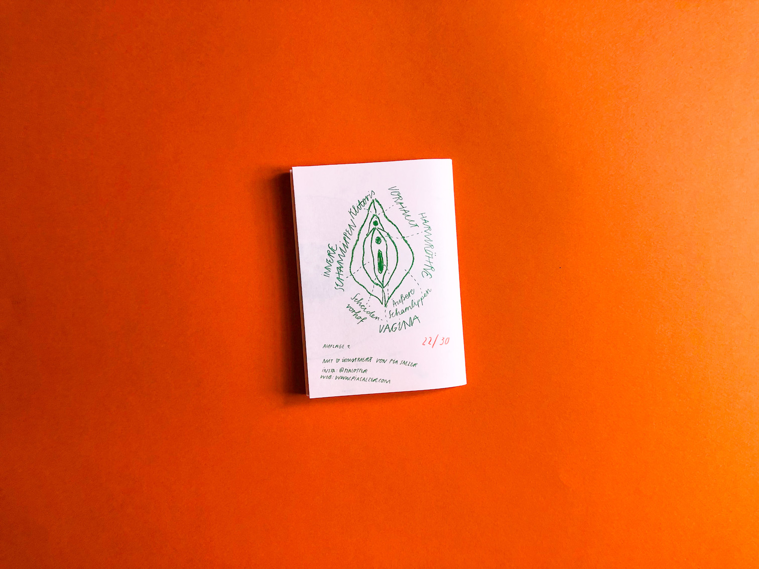 © Pia Salzer Fruit de Vulva Backcover