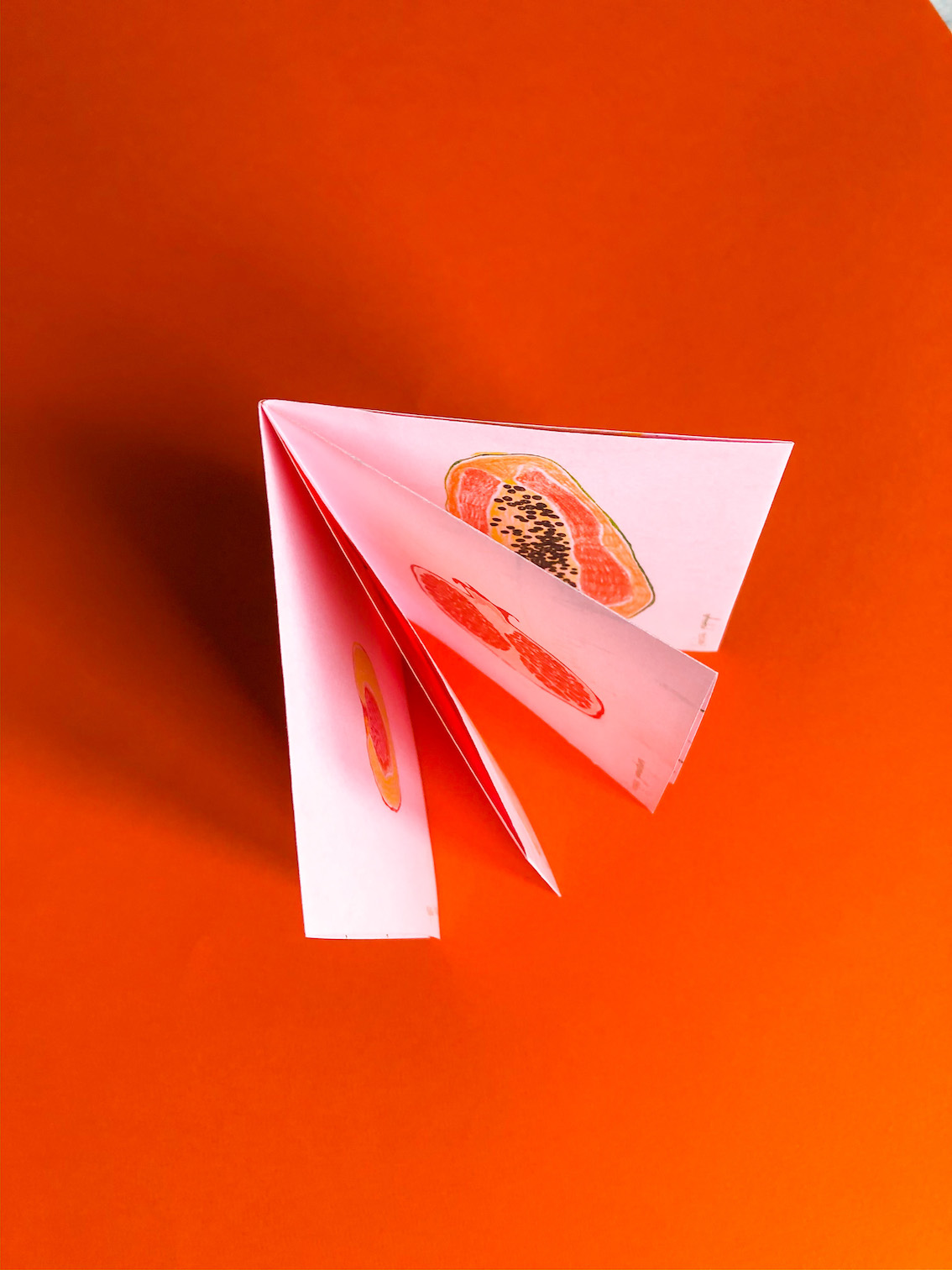 © Pia Salzer Fruit de Vulva Zine Top-View