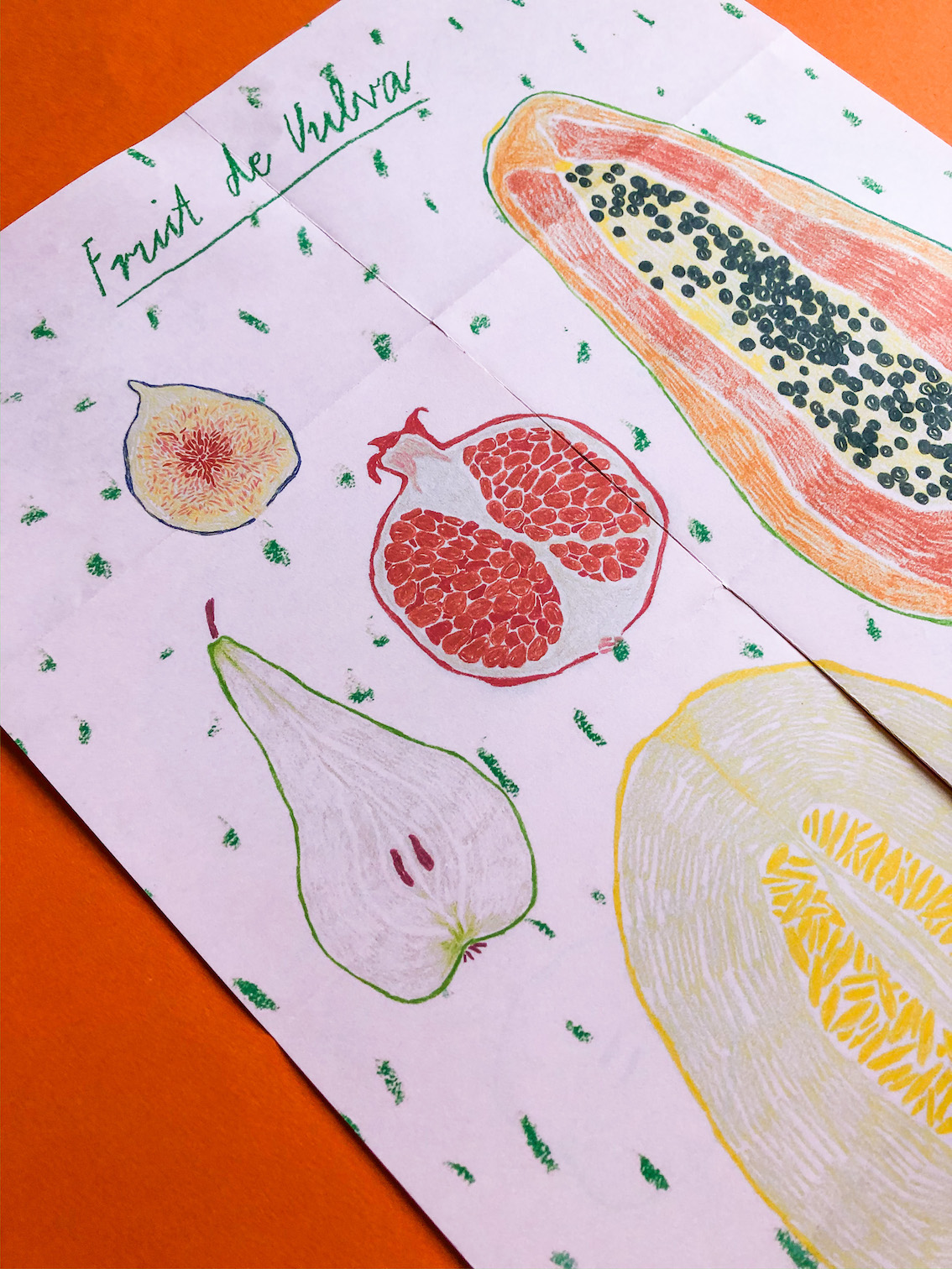 © Pia Salzer Fruit de Vulva Detail