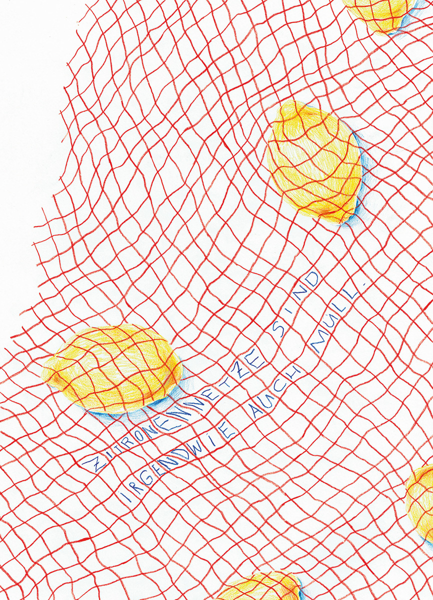 © Pia Salzer shit Habbits Zitronennetz